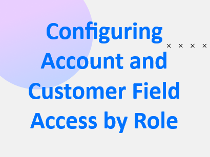 Configuring Account & Customer Field Access by Role