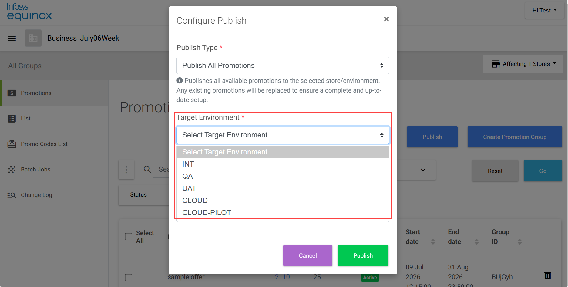 Target environment options for promotion group publish